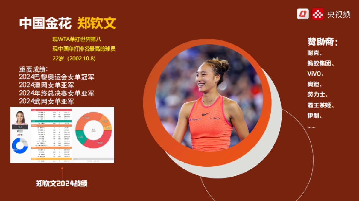 央视频2025法网商务方案_第3页