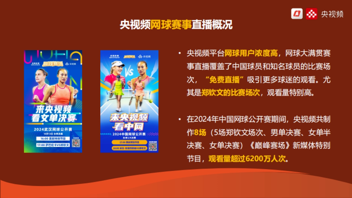 央视频2025法网商务方案_第4页
