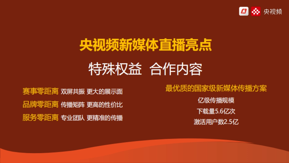 央视频2025法网商务方案_第8页