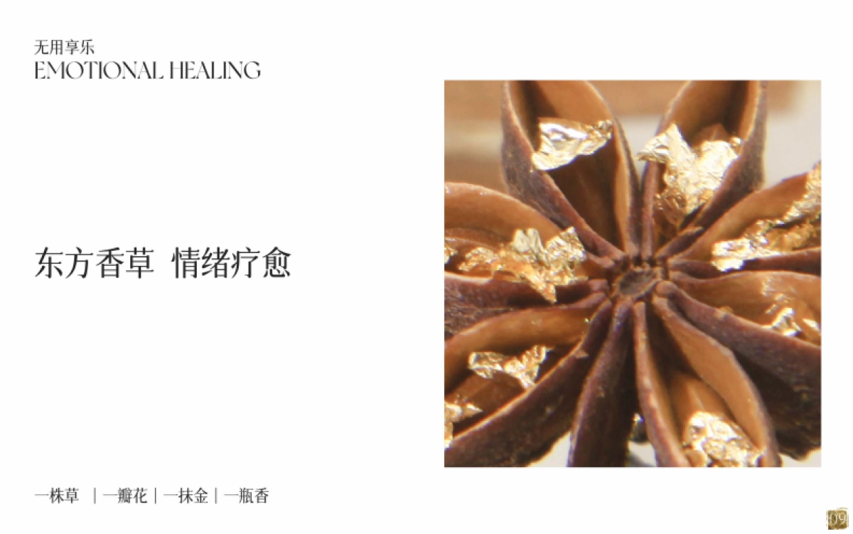 无用享乐品牌手册_第9页