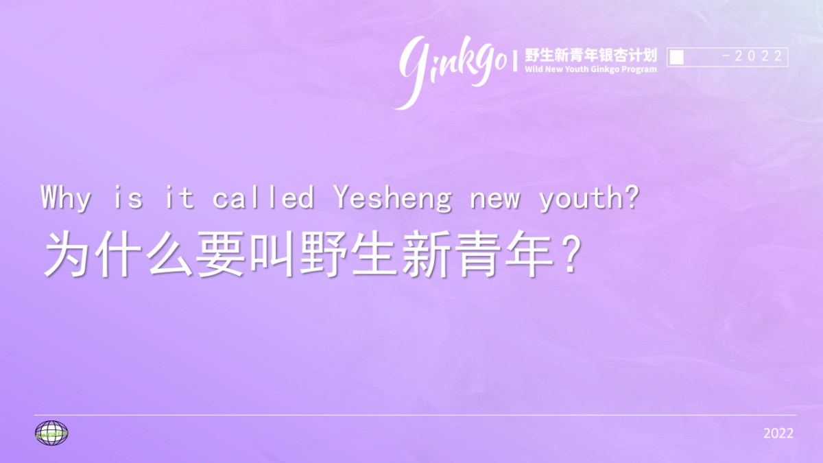 野生新青年音乐节活动策划方案_第2页