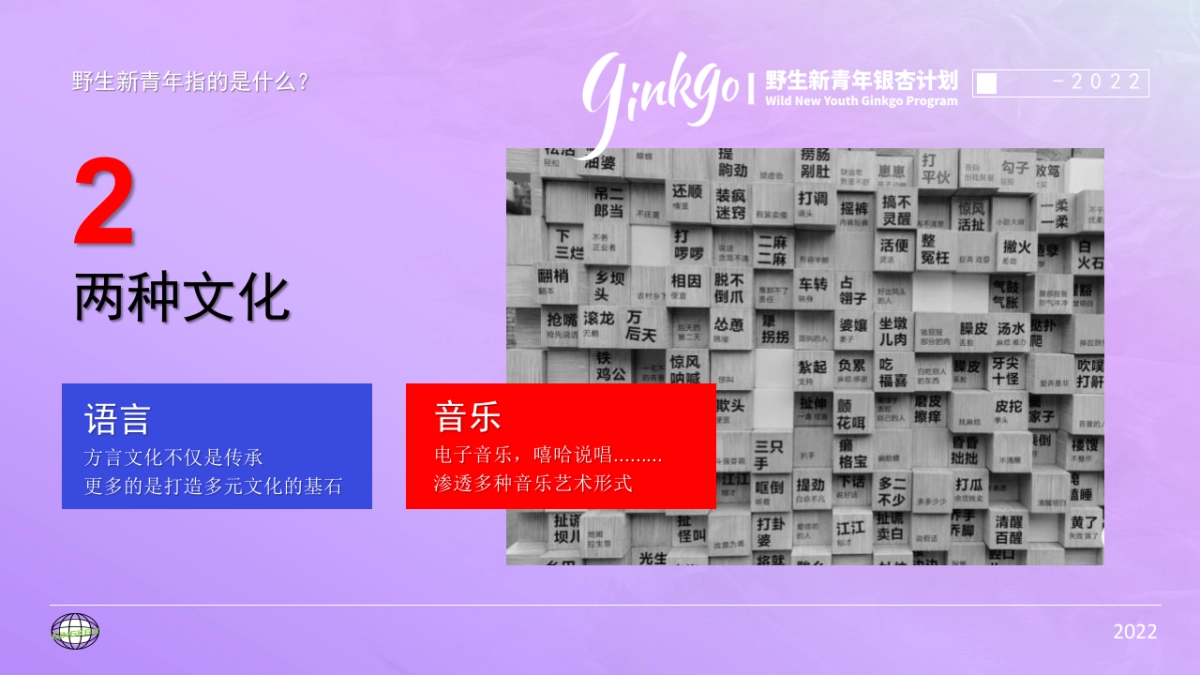 野生新青年音乐节活动策划方案_第5页