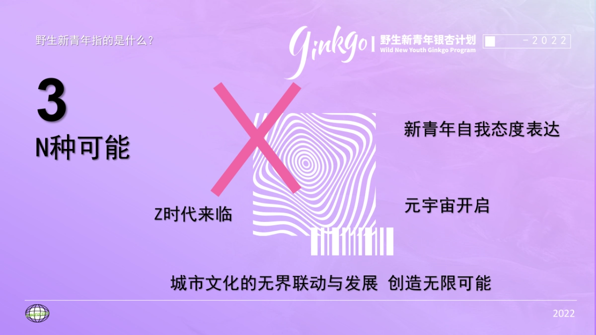 野生新青年音乐节活动策划方案_第6页