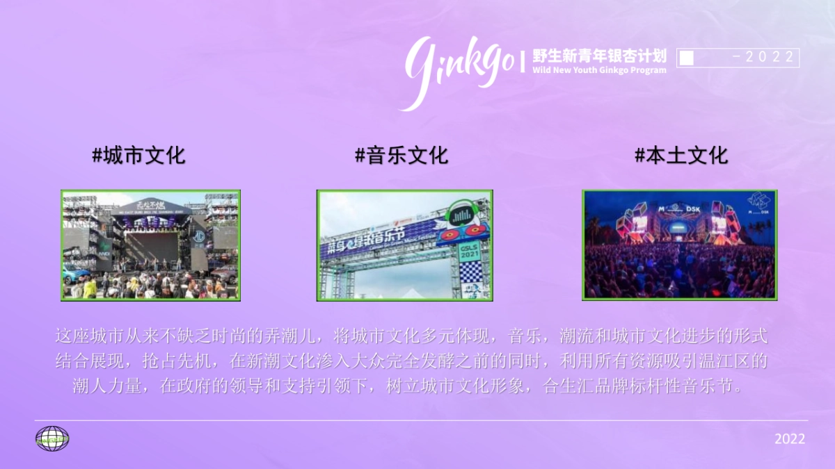 野生新青年音乐节活动策划方案_第7页