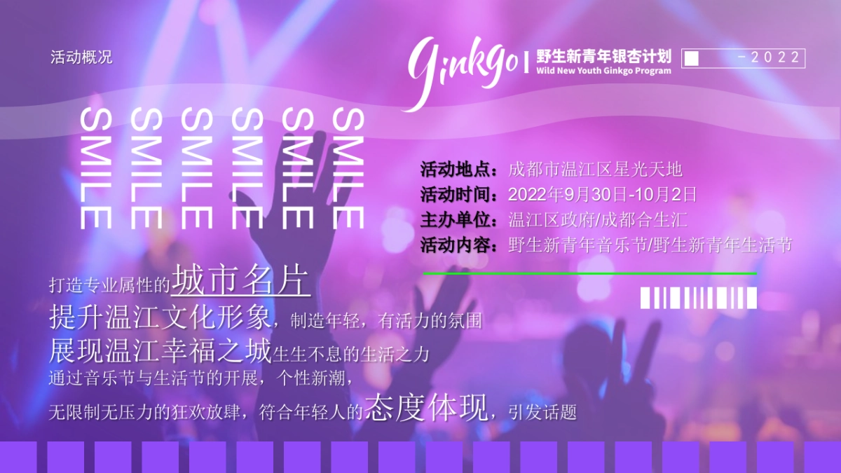 野生新青年音乐节活动策划方案_第8页