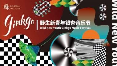 野生新青年音乐节活动策划方案