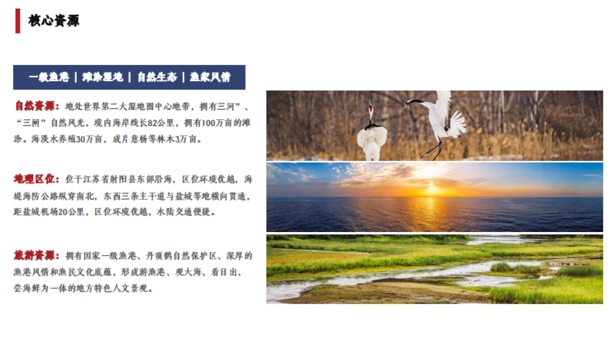 滨海鱼港乡村旅游目的地品牌运营提升建议方案_第6页