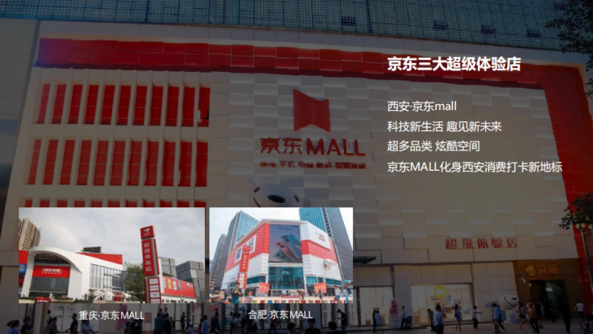 博世京东自营x西安京东MALL 京东品牌日活动方案_第9页