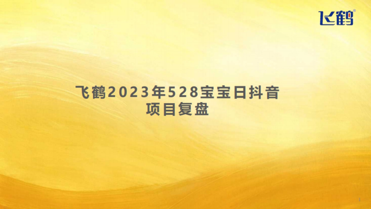 飞鹤“5·28”宝宝日脑战略《小小的我》创新传播项目_第1页
