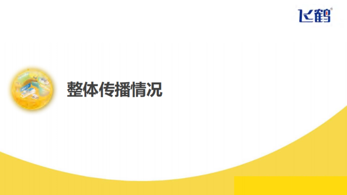 飞鹤“5·28”宝宝日脑战略《小小的我》创新传播项目_第2页