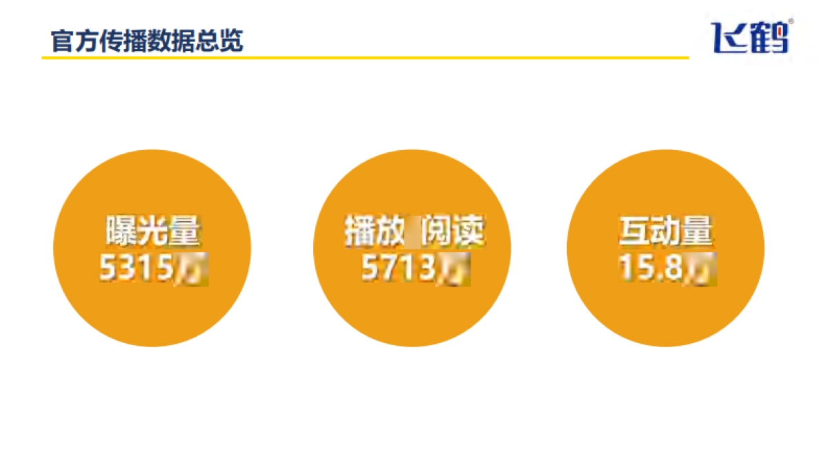 飞鹤“5·28”宝宝日脑战略《小小的我》创新传播项目_第5页