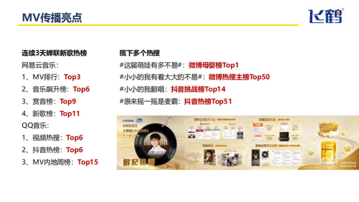 飞鹤“5·28”宝宝日脑战略《小小的我》创新传播项目_第6页