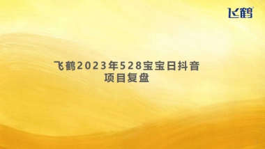 飞鹤“5·28”宝宝日脑战略《小小的我》创新传播项目