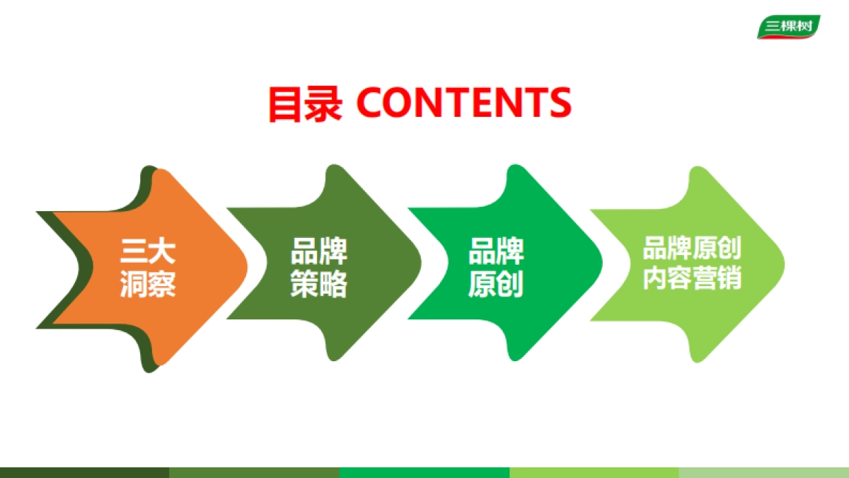 三棵树工程漆建材品牌策略创新&形象原创提案_第3页