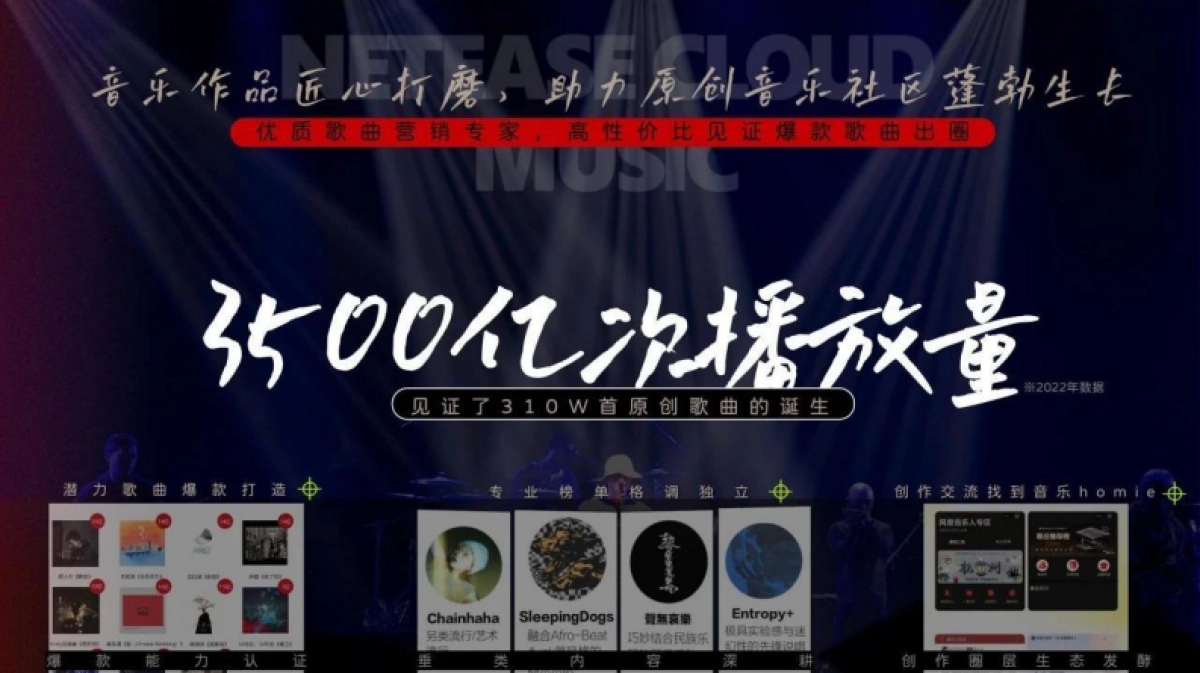 网易音乐人十周年企划_第5页