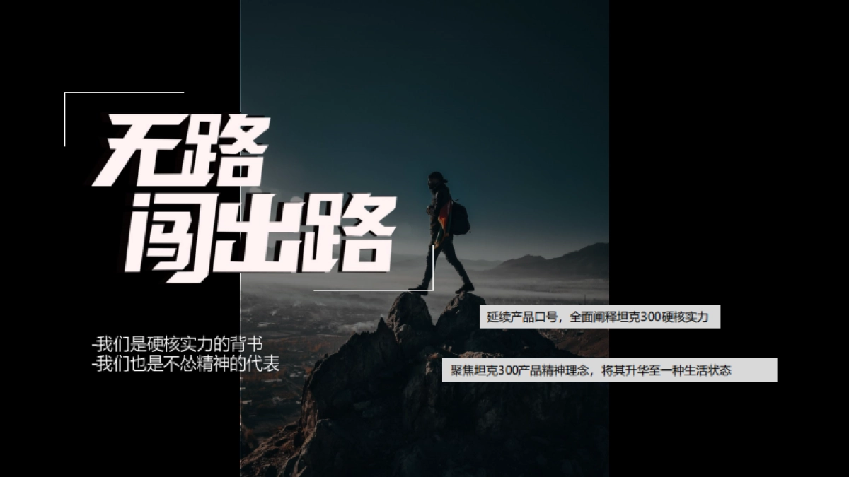 意奥WEY 坦克300区域上市活动_第8页