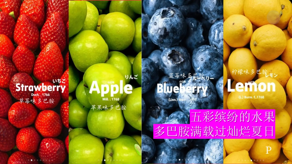 夏季多巴胺水果生活节「城市热带岛屿主题」活动策划方案_第6页