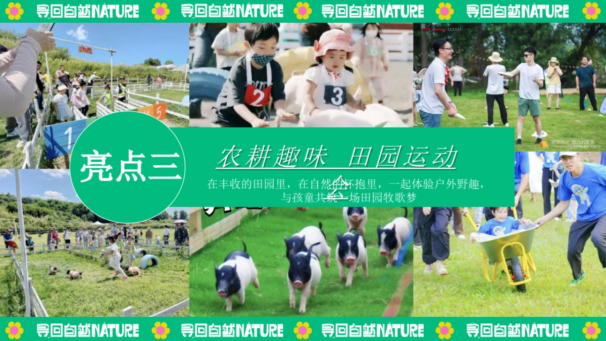 夏季暑期田园研学趣野生活节「寻找自然NATURE主题」活动策划方案_第10页