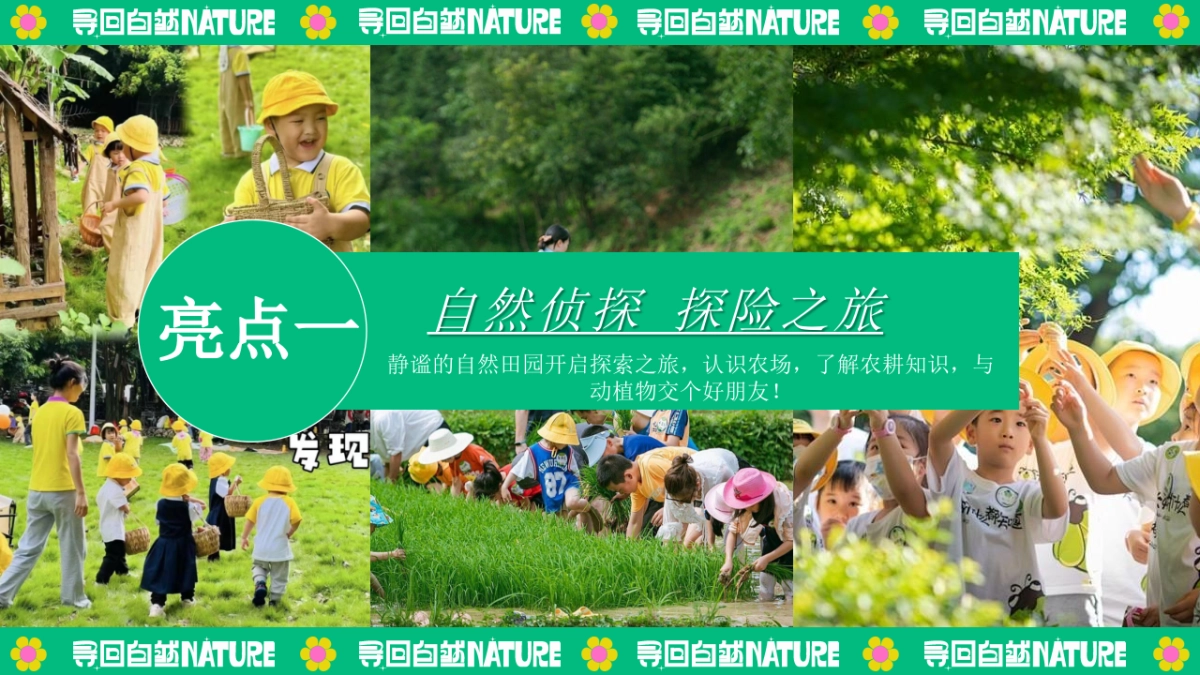 夏季暑期田园研学趣野生活节「寻找自然NATURE主题」活动策划方案_第8页