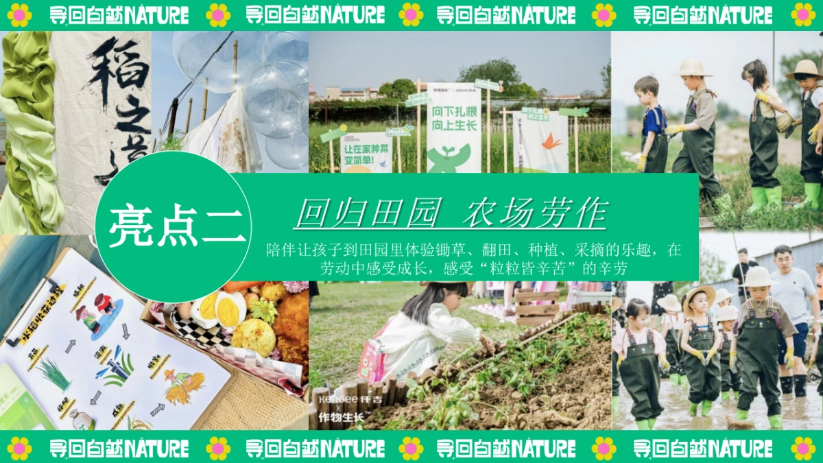 夏季暑期田园研学趣野生活节「寻找自然NATURE主题」活动策划方案_第9页