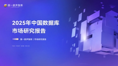 2025年中国数据库市场研究报告