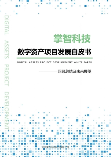 掌智科技数字资产项目发展白皮书 2025