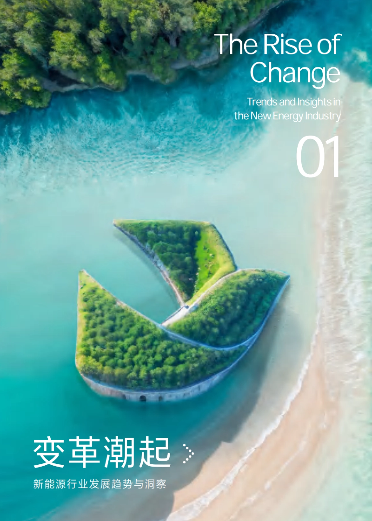 2024年新能源行业数字化白皮书_第5页