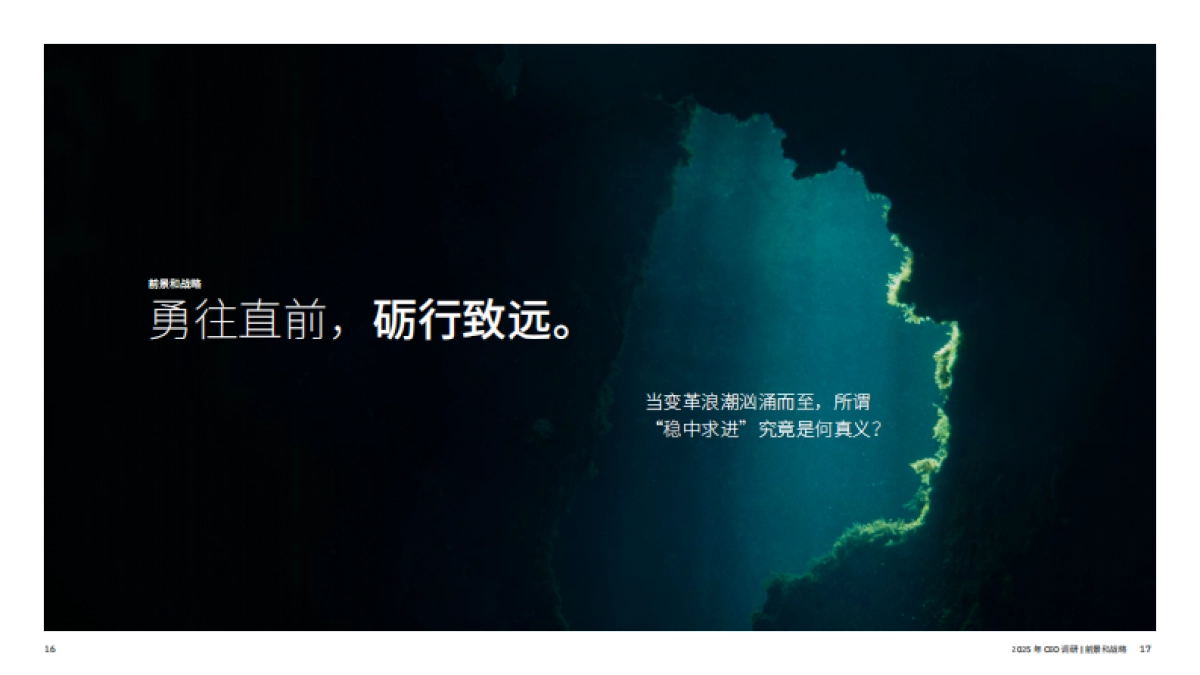 2025 CEO 调研：五大认知升级，激发业务增长_第10页