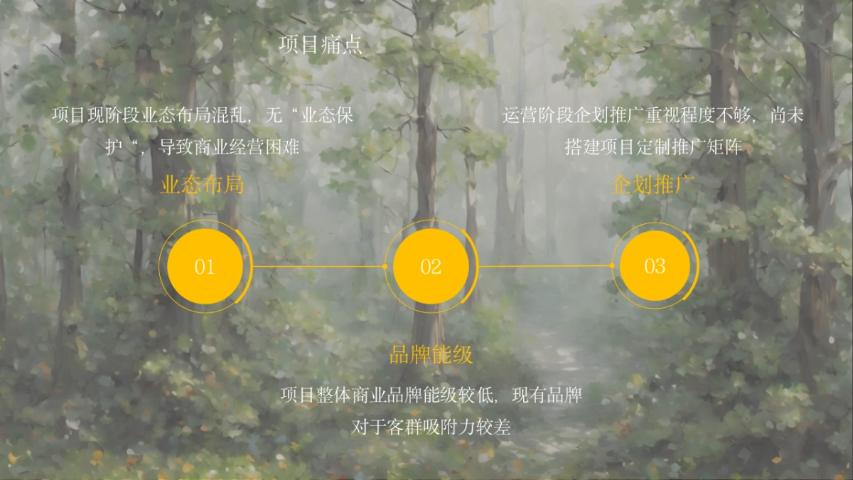 开州假日国际广场商业“焕新”出圈计划_第6页