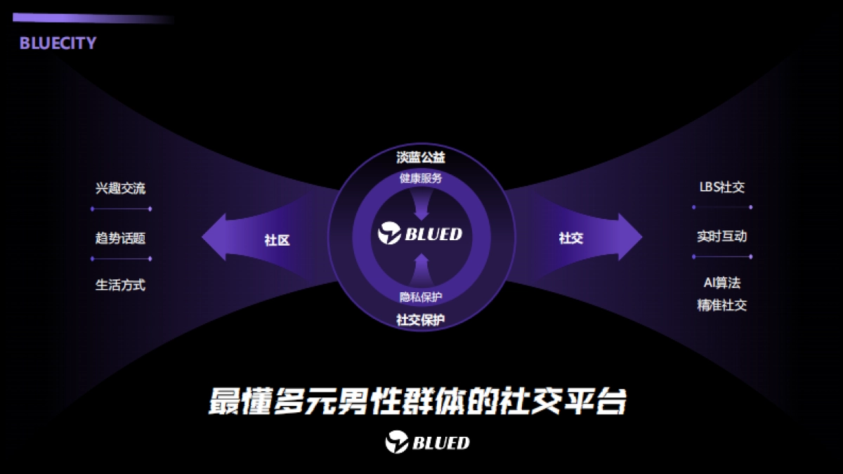 BLUED商业化介绍_第10页