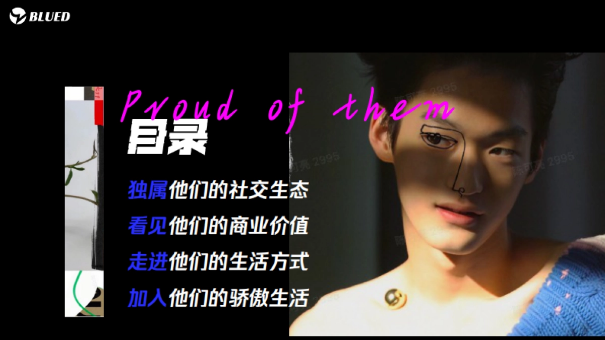 BLUED商业化介绍_第2页