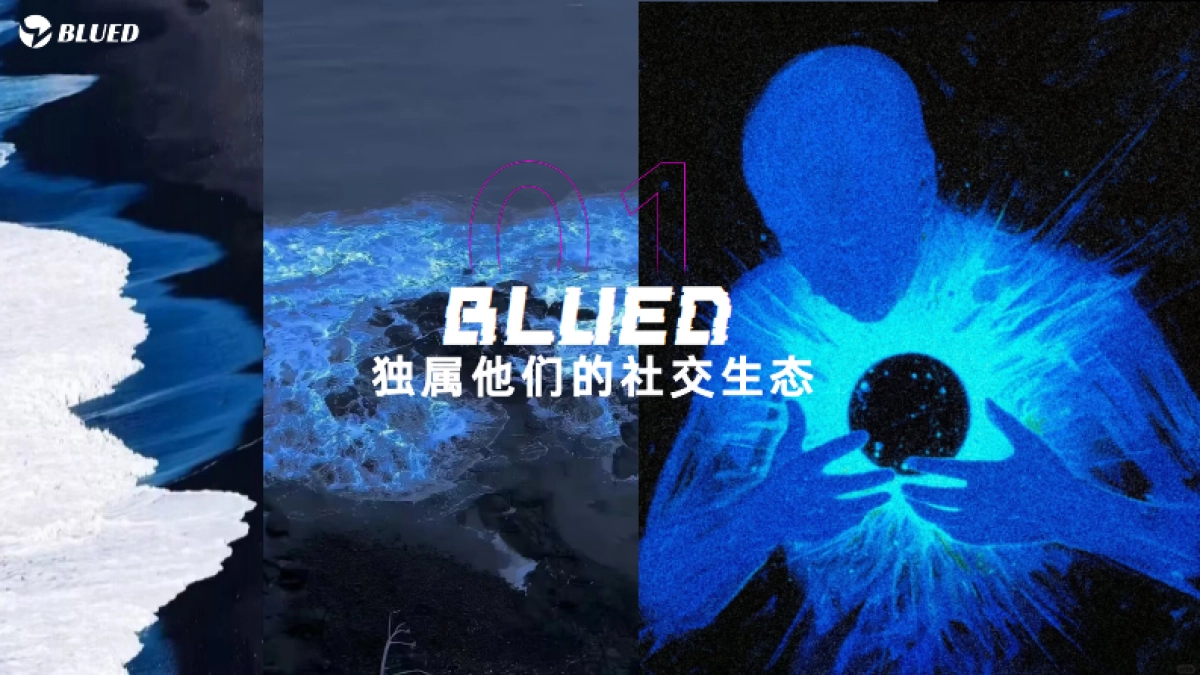 BLUED商业化介绍_第3页