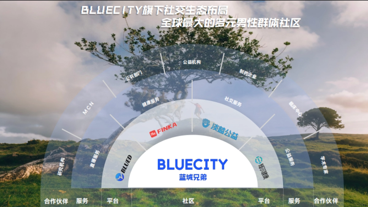 BLUED商业化介绍_第4页