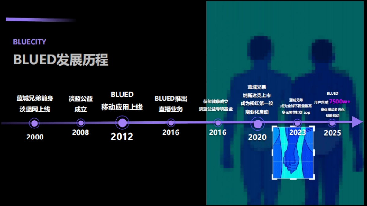 BLUED商业化介绍_第5页