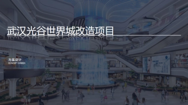 武汉光谷世界城改造项目方案设计