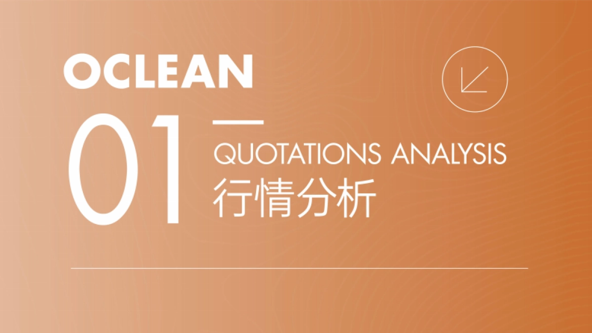 电动牙刷新品小红书策略Demo_第3页