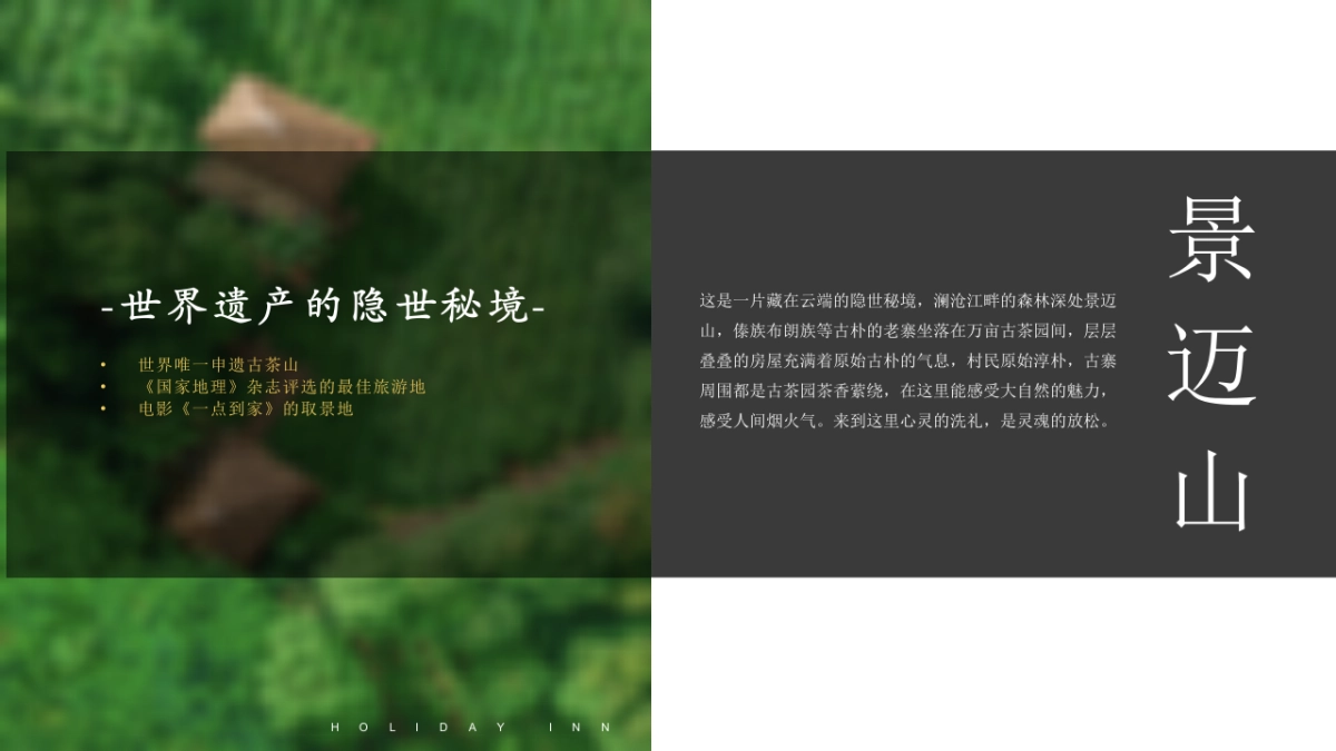 汤山涵田春之谷 臻温泉悦酒店自然休闲新中式非遗开业活动方案_第3页