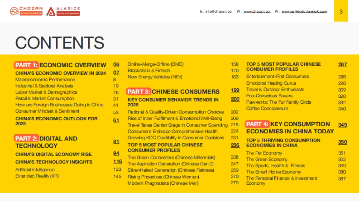 2025年中国市场全景700页洞察报告：消费者、创新、技术、新零售、营销与数字空间（英文版）_第3页