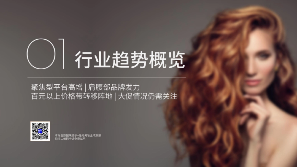 2025美发护发洗发行业报告_第4页