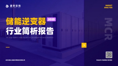 2025年储能逆变器行业简析报告