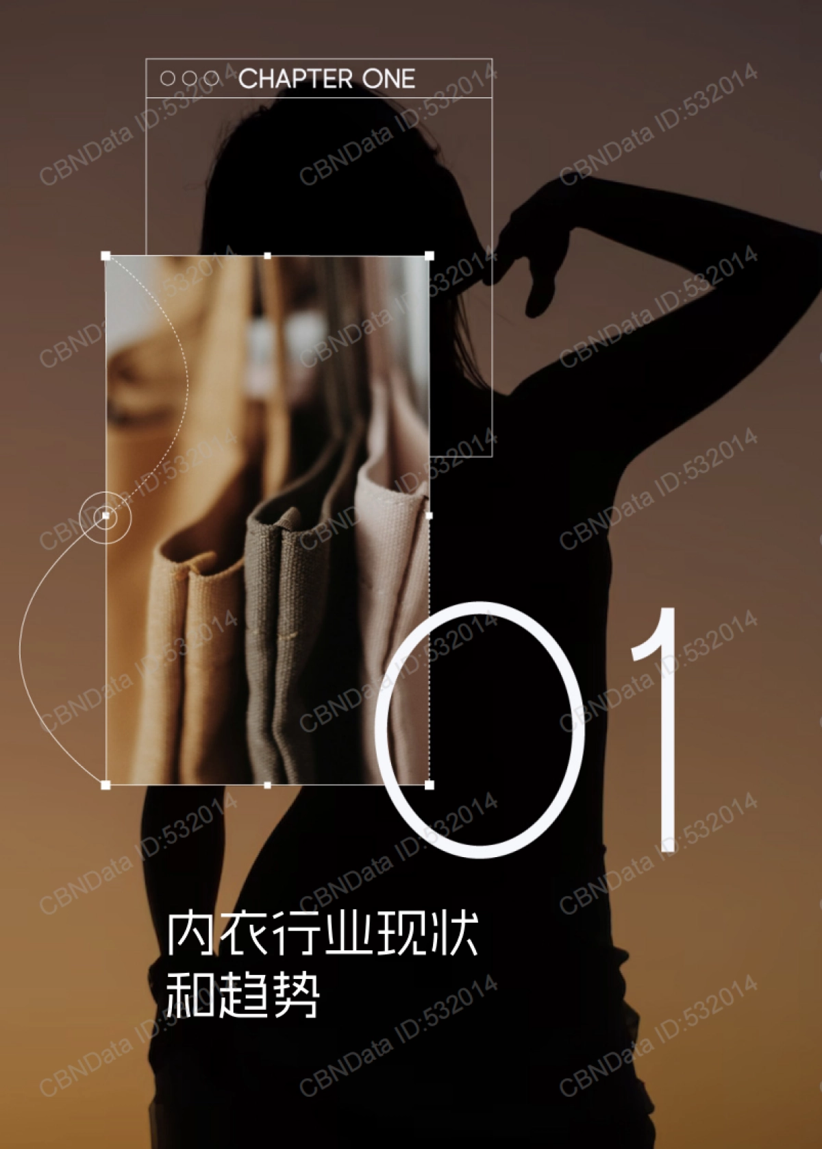 2025年科技内衣趋势洞察白皮书_第3页