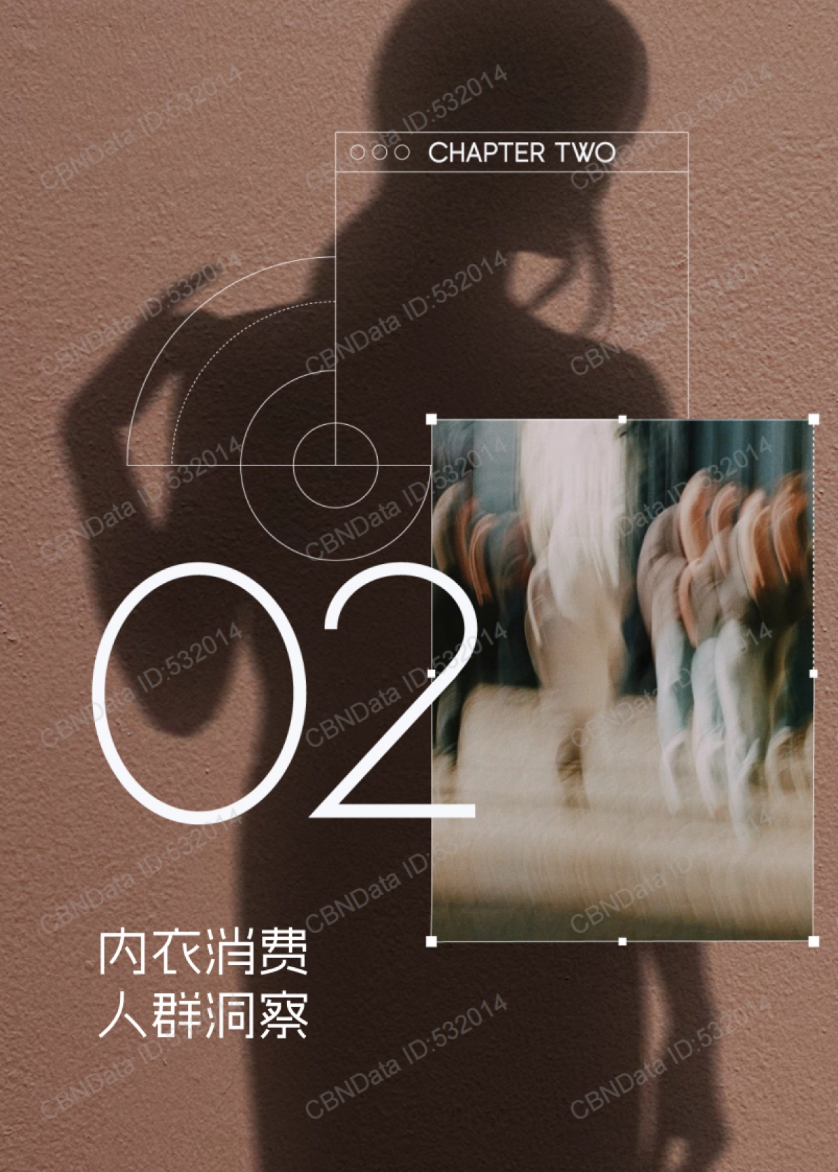 2025年科技内衣趋势洞察白皮书_第8页