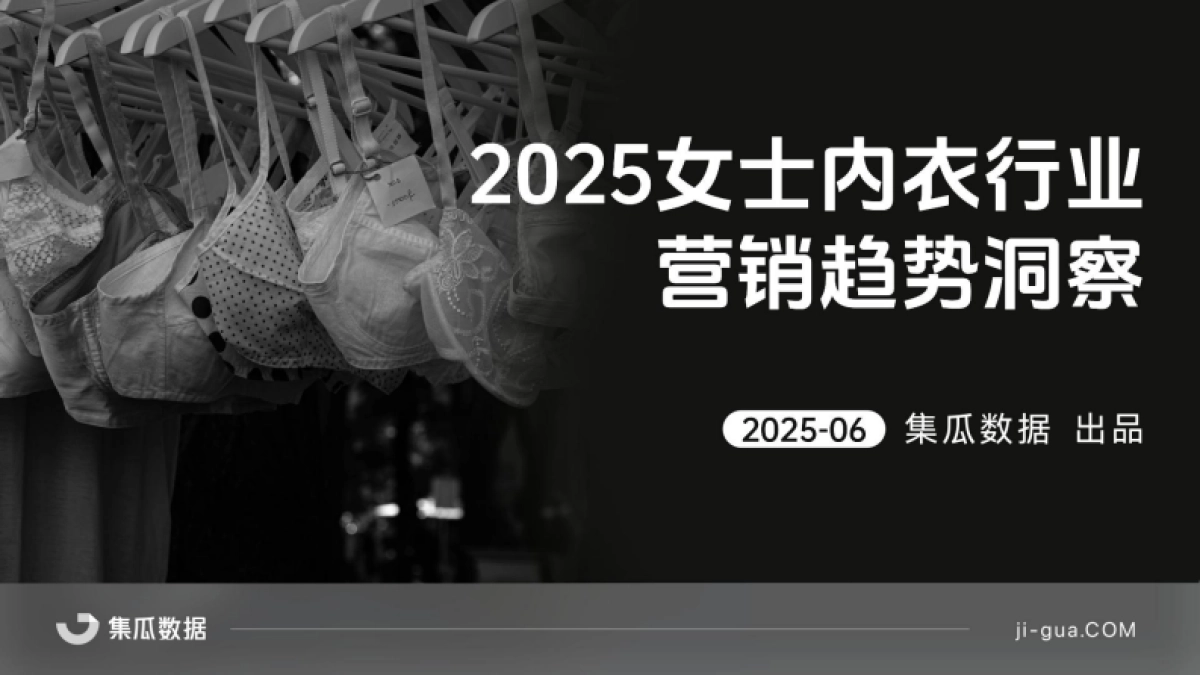 2025年女士内衣行业营销趋势洞察报告_第1页