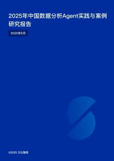 2025年中国数据分析Agent实践与案例研究报告