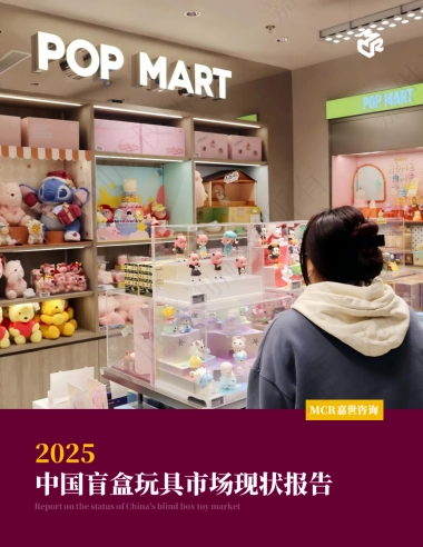 2025中国盲盒玩具市场现状报告