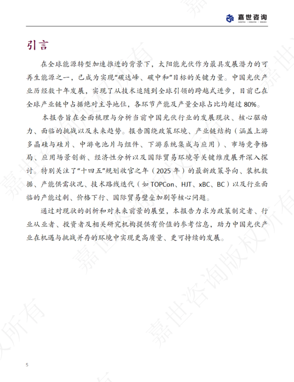2025中国新能源光伏行业现状报告_第5页