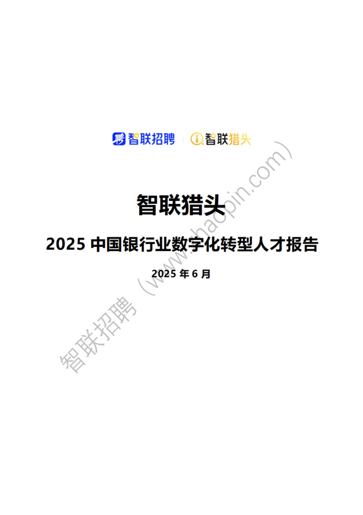 2025中国银行业数字化转型人才报告_第1页