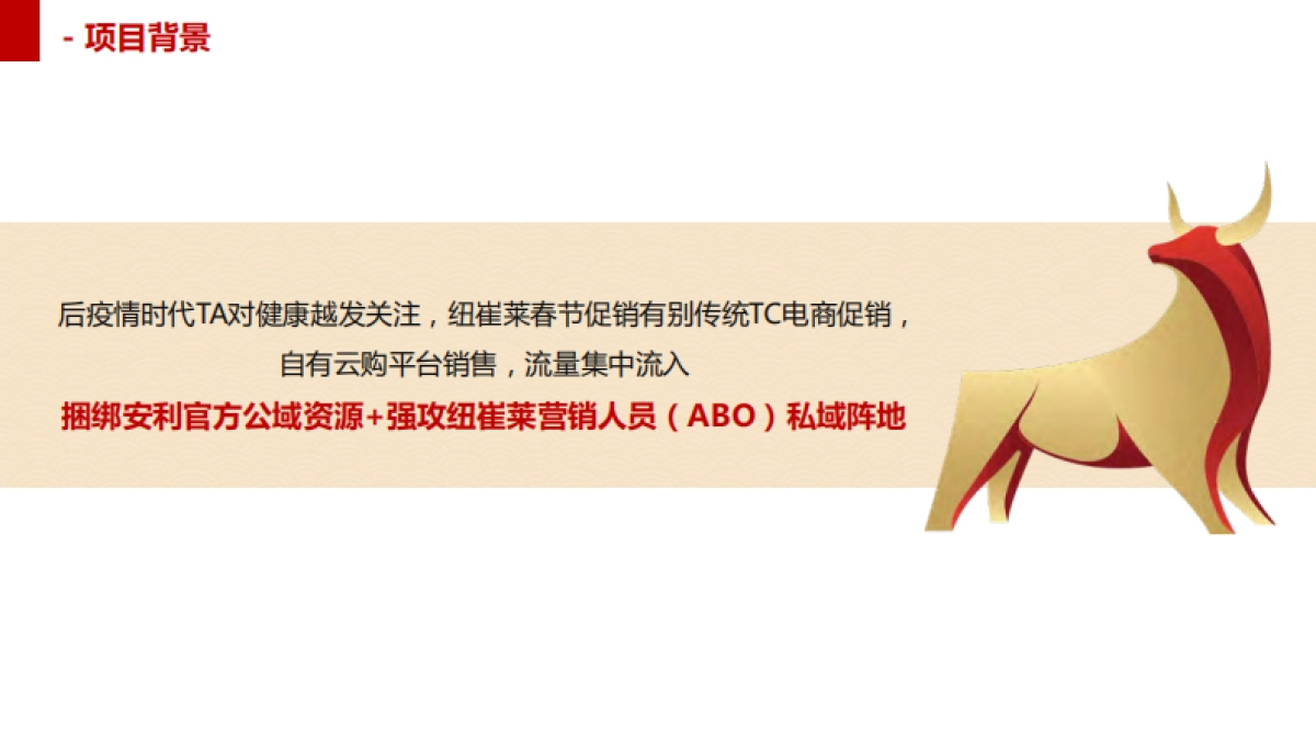 纽崔莱保健食品品牌年货节营销方案_第3页