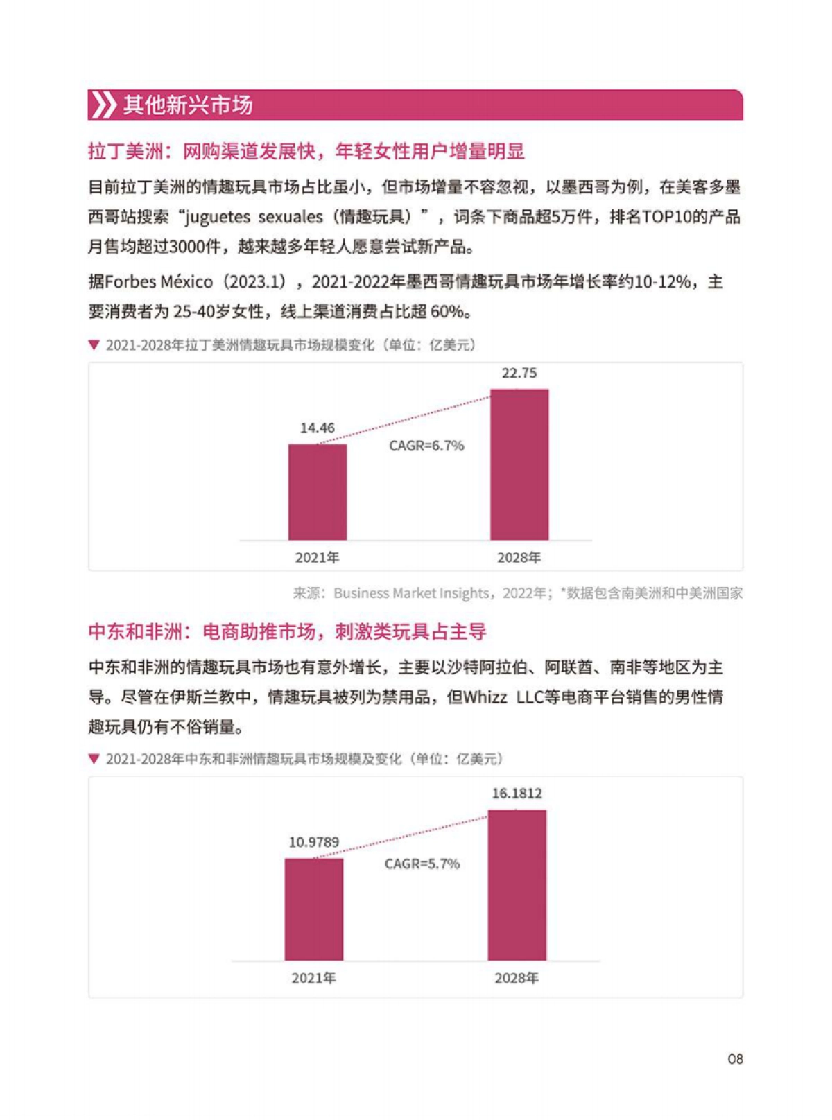 情趣玩具品类出海指南-上海API EXPO官方合作版_第9页