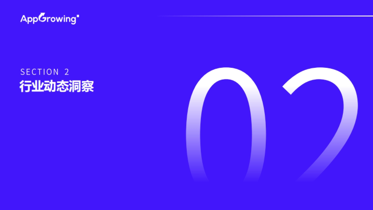 AI行业:2025年第一季度AI工具实量洞察_第6页